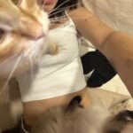 Camila Valero Instagram – los trámites me hacen llorar