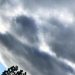 Camilla Belle Instagram - Empanadas, alfajores, paseos, perros, novelas, y nubes…