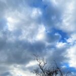 Camilla Belle Instagram - Empanadas, alfajores, paseos, perros, novelas, y nubes…
