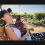 Camilla Belle Instagram - Nem posso acreditar que hoje faz um ano… um ano desde que ela virou um anjinho no céu … Como eu sinto a falta dela. Ainda da um dor no peito insuportável, mas eu sei que ela não gostaria que eu ficasse triste. Preciso seguir em frente celebrando sua vida e guardando as memórias com um sorriso no rosto 🧡 I can’t believe a year ago today we had to say goodbye to Evolet…a year ago today she became an angel… I miss her so very much, but I know she would want us to celebrate her life and look back on the memories together with a smile…