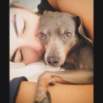 Camilla Belle Instagram - Nem posso acreditar que hoje faz um ano… um ano desde que ela virou um anjinho no céu … Como eu sinto a falta dela. Ainda da um dor no peito insuportável, mas eu sei que ela não gostaria que eu ficasse triste. Preciso seguir em frente celebrando sua vida e guardando as memórias com um sorriso no rosto 🧡 I can’t believe a year ago today we had to say goodbye to Evolet…a year ago today she became an angel… I miss her so very much, but I know she would want us to celebrate her life and look back on the memories together with a smile…
