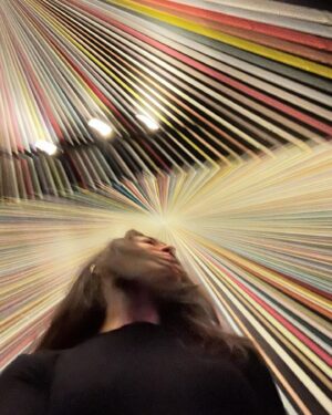 Camille Guaty Instagram - We tripped out on art in Santa Fe today! 

#meowwolf #santafe #immersive #immersiveart #art #psychedelic