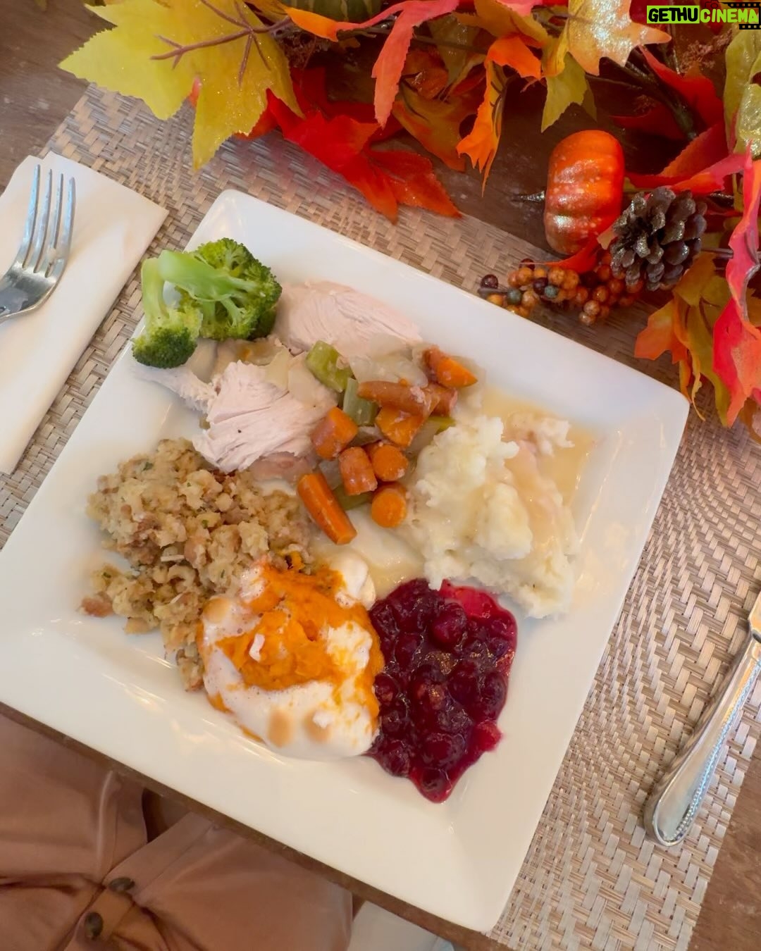 Camille Anderson Instagram - Thanksgiving was full of adventures, family and good food! I’m very GRATEFUL and wishing you a beautiful Holiday Season! What’s your favorite Holiday tradition? xo 🍁 #thanksgiving #holidaymemories #ziplining