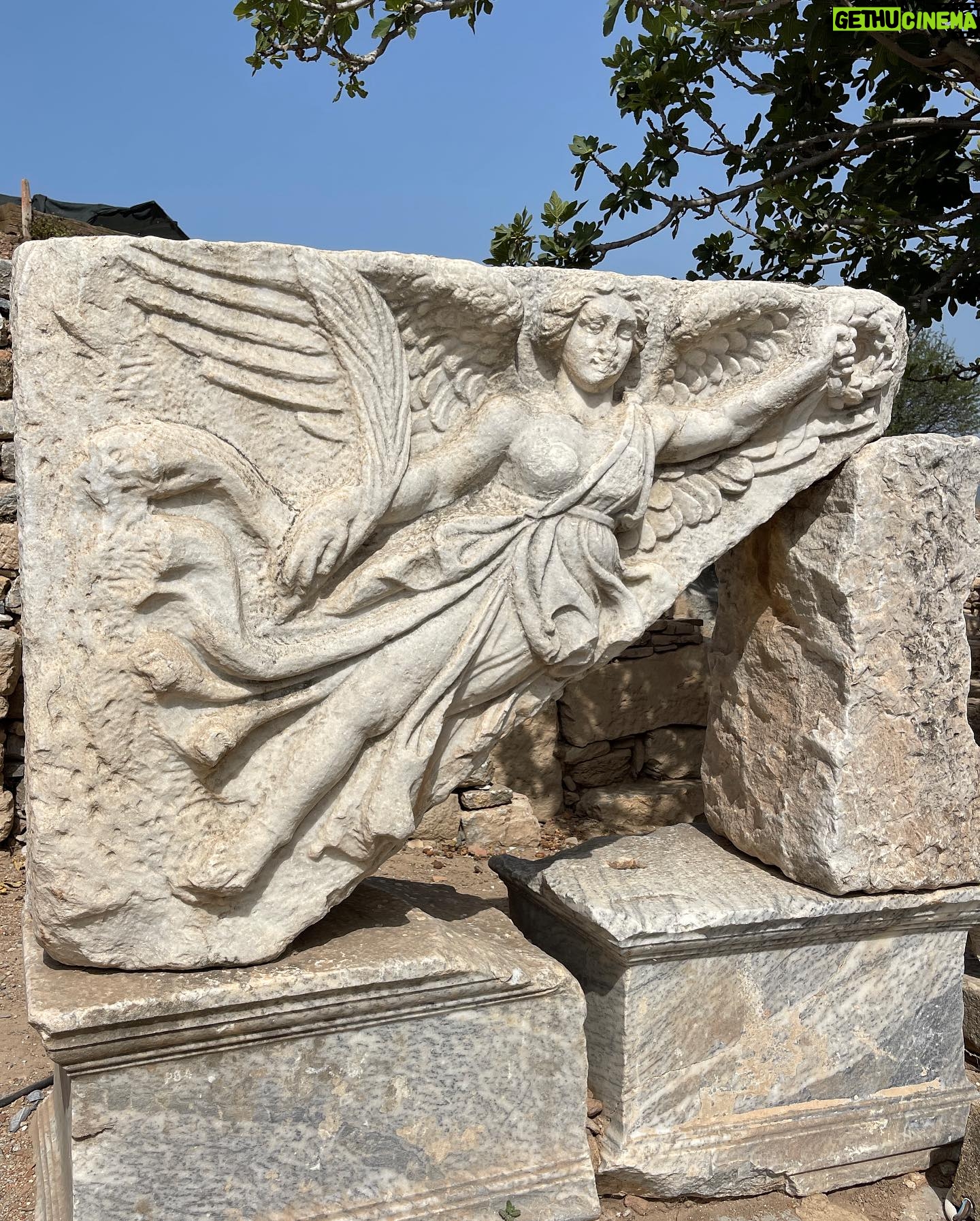 Camille Anderson Instagram - Turkey 🇹🇷 One of the more interesting places I’ve traveled to! We spent time in Kusadasi and toured the ancient city of Ephesus, along with Virgin Mary’s final home. Interesting Facts: 🔴Ephesus was constructed in 6th century BC, and its excavated remains reflect centuries of history, from classical Greece to the Roman Empire. It was once the second largest city of the Roman Empire and was an important trading hub. 🔴The Temple of Artemis is one of the Seven Wonders of the World. Ephesus is even referenced several times in the Bible. 🔴Mary, mother of Jesus, spent her last days near Ephesus. We visited Mary’s house nearby. It was really moving to experience such an important piece of history, first hand. 🔴 Pictured: Temple of Artemis, Ephesus Stadium (for sports activities, ceremonies and wild animal fights!), Goddess Nike, their toilette system-wild!, medical symbol (same as what we use today), Virgin Mary’s House plus our candle lighting and prayer placement ➡️ Thank you to our fantastic guide, Eda. Did you know that in Turkey, in order to be a guide, you must have a university degree in the specialty, speak multiple languages, and have proper licensing!? ➡️ I hope you enjoyed your history lesson! Xo