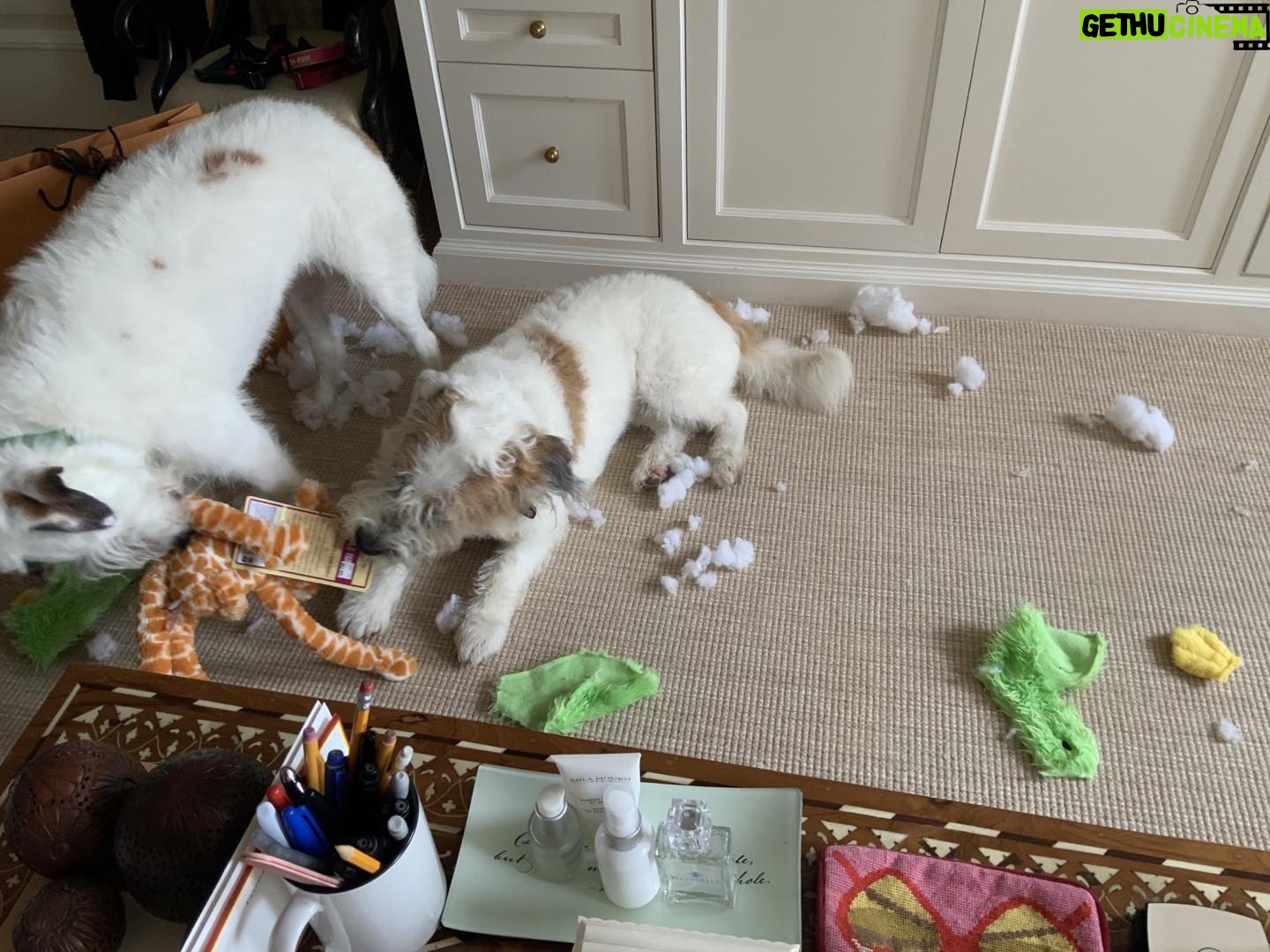 Candice Bergen Instagram - The Brothers, Bruce and Lloyd, on a break.