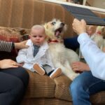 Candice Bergen Instagram - Practicing for Halloween. Artie is going as Dr Fauci and Lloyd is his colleague, Dr Deborah Barks who is having some trouble with her hair. Chloe actually ordered a lab coat with Dr Fauci embroidered on it with a tiny tie and wire-rimmed glasses.