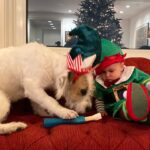 Candice Bergen Instagram – Hey! You’ve eaten the thing that steers the sleigh!! And you haven’t even loaded it yet!! Santa is going to be SO pissed!!!
