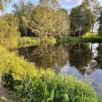 Candice Bergen Instagram – My Measly Pond