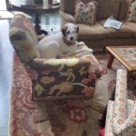 Candice Bergen Instagram – Does this chair make me look fat?
Bruce