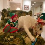 Candice Bergen Instagram – ELF WITH NOT QUITE A REINDEER. IT’S A PANDEMIC.