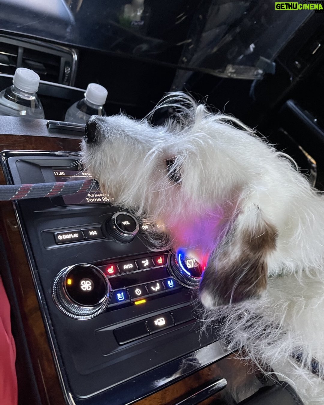 Candice Bergen Instagram - Bruce at the controls.