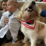 Candice Bergen Instagram – Dr Fauci with a distracted Dr Barks.