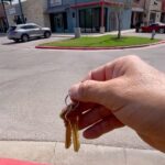 Candice Michelle Instagram – Got the keys to our new home!!
The Good Chiropractor
✨House of Healing✨
Coming soon Austin!!!