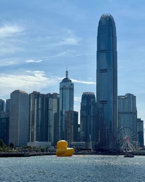 Candy Yuen Instagram - One duck show 🐣 #hongkong #sunnyday #duck #rubberduck