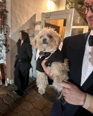 Cara Jade Myers Instagram - My final wrap up post for Awards Season 2024! 
Thank you to everyone who was a part of this memorable journey!! ♥️♥️♥️

Dog in Tux: Gizmo 🥹😘♥️♥️