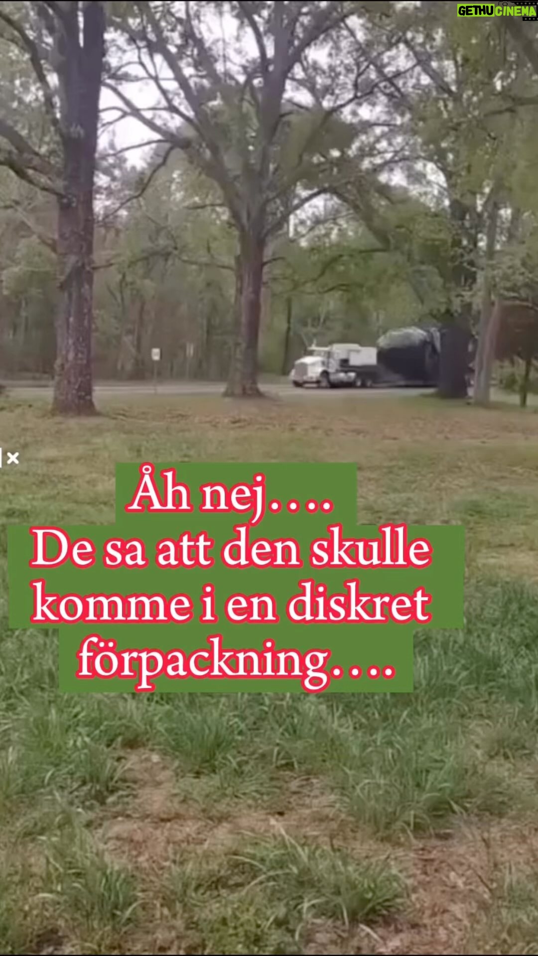 Carin da Silva - 46.1K Likes - Hoppsanā¦..š
