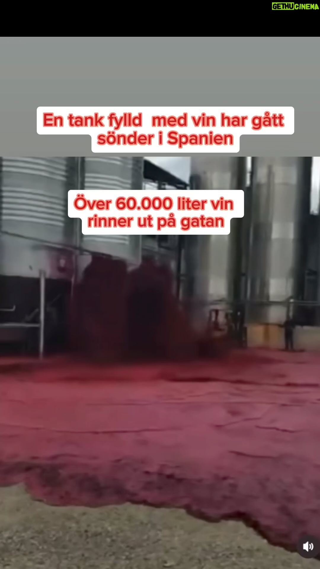 Carin da Silva - 27.6K Likes - Mot Spanien!!!