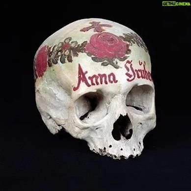 Carla Valentine - 373 Likes - ❤️ Continuing my 'Valentine' theme are these beautiful painted skulls at Hallstatt ossuary (or bone house/"beinhaus") in Austria. The unadorned skulls are removed from the grave after 15 years, with the owners' consent, and bleached on a shelf by the sun and the moon, over the course of a few days, in the nearby gravedigger's cottage. Then they're beautifully decorated: the choice of decoration is usually an option out of four - Ivy for faithfulness, Laurel for victory, Oak for glory and Rose for LOVE 🌹
#humanremains #anatomy #pathology #specimen #valentinecountdown #valentine #bloodyvalentine #anatomicalheart #valentinesday #bloodyvalentine #biology #physiology #mybloodyvalentine #galentines #heart #anatomicalheart #forensics #forensicscience #bonehouse #ossuary #hallstatt