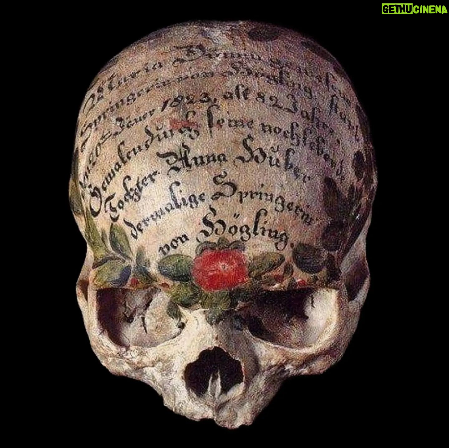 Carla Valentine - 373 Likes - ❤️ Continuing my 'Valentine' theme are these beautiful painted skulls at Hallstatt ossuary (or bone house/"beinhaus") in Austria. The unadorned skulls are removed from the grave after 15 years, with the owners' consent, and bleached on a shelf by the sun and the moon, over the course of a few days, in the nearby gravedigger's cottage. Then they're beautifully decorated: the choice of decoration is usually an option out of four - Ivy for faithfulness, Laurel for victory, Oak for glory and Rose for LOVE 🌹
#humanremains #anatomy #pathology #specimen #valentinecountdown #valentine #bloodyvalentine #anatomicalheart #valentinesday #bloodyvalentine #biology #physiology #mybloodyvalentine #galentines #heart #anatomicalheart #forensics #forensicscience #bonehouse #ossuary #hallstatt