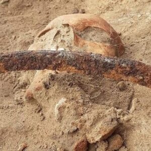 Carla Valentine Instagram - It's not October yet, but it's my birthday and I always feel like that is the start of spooky season for me ☠️ "Vampire Burials": The first 3 images are of a child burial excavated last month in Pień near Poland’s northern city of Bydgoszcz, in what seems to have been a graveyard for "abandoned souls" and the poor. The 400 year old skeleton of a child (aged 5-7 years old) has a triangular padlock on its feet to stop it rising from the dead and is facing downwards to ensure that "if it bites" it bites the soil in the grave. It's shockingly sad because the first thing I thought was "what could a child of 5-7 years of age possibly do to make people think it's cursed in some way, and might rise from the dead"? Archaeologists and historians say sudden death  seemed "suspicious" back then and could account for this fear; or perhaps if the child had a physical abnormality. Either way it seems horrendous that an afflicted child would be buried like this rather than in the graveyard attached to the church. The second 3 pics are of a woman found last year only a few feet away from this child in the same graveyard. Also believed to be a "vampire" burial she had a scythe placed over her neck. The idea is that if she rose from the dead the scythe would cut her head off. You can see the placement of the scythe in the pics: very inventive
#spookyseason #vampireburial #vampireskeleton