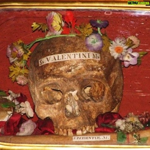 Carla Valentine - 691 Likes - 💀🫀 Happy Valentine's Day! For the special day, here is the skull of St Valentine. The day we all know and ‘love’ as a day for romantic celebration is called St Valentine’s Day yet there may have been more than one version of Valentine or Valentinus. However the two main stories, concerning Valentine of Terni and Valentine of Rome, could also refer to the same person. Scholars are still undecided.
What is known is that around AD 200 Valentine, Bishop of Terni, was imprisoned, tortured, beaten with clubs (aha! Not spades, diamonds or hearts...🥁 Sorry...) and beheaded in Rome for his Christianity by the Emperor Claudius. His skull, pictured, is in the Basilica of Saint Mary in Cosmedin, Rome, and is a rather more gruesome reminder of the martyred Saint than a fluffy teddy bear holding a heart. Further relics include “a vessel tinged with his blood” at Whitefriar Street Church in Dublin; parts housed at The Birmingham Oratory and his forearm in Blessed John Duns Scotus’ Church, Glasgow, in a wooden chest inscribed “Corpus Valentini Martyris.” It wasn’t until circa AD 500 that Pope Gelasius declared 14th February St Valentine’s Day, a Christian feast day. It’s been theorised that the date wasn’t arbitrary: it was placed during the already established Roman/Pagan Feast of Lupercalia, a fertility festival held over 13th to 15th Feb, during which men violently thrashed naked women with goat-skin whips to “improve fertility” which is pretty much a typical Valentine's Day for me 😉💀🫀
#humanremains #stvalentine #relic #holyrelic #skull #valentine #valentinus #bloodyvalentine #valentinecountdown #valentinesday #skull #mybloodyvalentine
#anatomicalheart