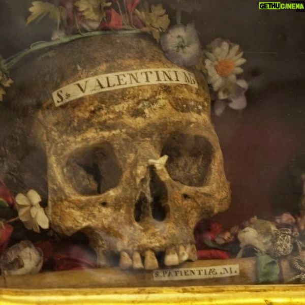 Carla Valentine - 691 Likes - 💀🫀 Happy Valentine's Day! For the special day, here is the skull of St Valentine. The day we all know and ‘love’ as a day for romantic celebration is called St Valentine’s Day yet there may have been more than one version of Valentine or Valentinus. However the two main stories, concerning Valentine of Terni and Valentine of Rome, could also refer to the same person. Scholars are still undecided.
What is known is that around AD 200 Valentine, Bishop of Terni, was imprisoned, tortured, beaten with clubs (aha! Not spades, diamonds or hearts...🥁 Sorry...) and beheaded in Rome for his Christianity by the Emperor Claudius. His skull, pictured, is in the Basilica of Saint Mary in Cosmedin, Rome, and is a rather more gruesome reminder of the martyred Saint than a fluffy teddy bear holding a heart. Further relics include “a vessel tinged with his blood” at Whitefriar Street Church in Dublin; parts housed at The Birmingham Oratory and his forearm in Blessed John Duns Scotus’ Church, Glasgow, in a wooden chest inscribed “Corpus Valentini Martyris.” It wasn’t until circa AD 500 that Pope Gelasius declared 14th February St Valentine’s Day, a Christian feast day. It’s been theorised that the date wasn’t arbitrary: it was placed during the already established Roman/Pagan Feast of Lupercalia, a fertility festival held over 13th to 15th Feb, during which men violently thrashed naked women with goat-skin whips to “improve fertility” which is pretty much a typical Valentine's Day for me 😉💀🫀
#humanremains #stvalentine #relic #holyrelic #skull #valentine #valentinus #bloodyvalentine #valentinecountdown #valentinesday #skull #mybloodyvalentine
#anatomicalheart