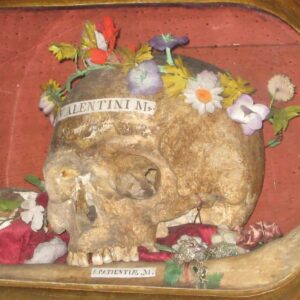 Carla Valentine Instagram - 💀🫀 Happy Valentine's Day! For the special day, here is the skull of St Valentine. The day we all know and ‘love’ as a day for romantic celebration is called St Valentine’s Day yet there may have been more than one version of Valentine or Valentinus. However the two main stories, concerning Valentine of Terni and Valentine of Rome, could also refer to the same person. Scholars are still undecided.
What is known is that around AD 200 Valentine, Bishop of Terni, was imprisoned, tortured, beaten with clubs (aha! Not spades, diamonds or hearts...🥁 Sorry...) and beheaded in Rome for his Christianity by the Emperor Claudius. His skull, pictured, is in the Basilica of Saint Mary in Cosmedin, Rome, and is a rather more gruesome reminder of the martyred Saint than a fluffy teddy bear holding a heart. Further relics include “a vessel tinged with his blood” at Whitefriar Street Church in Dublin; parts housed at The Birmingham Oratory and his forearm in Blessed John Duns Scotus’ Church, Glasgow, in a wooden chest inscribed “Corpus Valentini Martyris.” It wasn’t until circa AD 500 that Pope Gelasius declared 14th February St Valentine’s Day, a Christian feast day. It’s been theorised that the date wasn’t arbitrary: it was placed during the already established Roman/Pagan Feast of Lupercalia, a fertility festival held over 13th to 15th Feb, during which men violently thrashed naked women with goat-skin whips to “improve fertility” which is pretty much a typical Valentine's Day for me 😉💀🫀
#humanremains #stvalentine #relic #holyrelic #skull #valentine #valentinus #bloodyvalentine #valentinecountdown #valentinesday #skull #mybloodyvalentine
#anatomicalheart