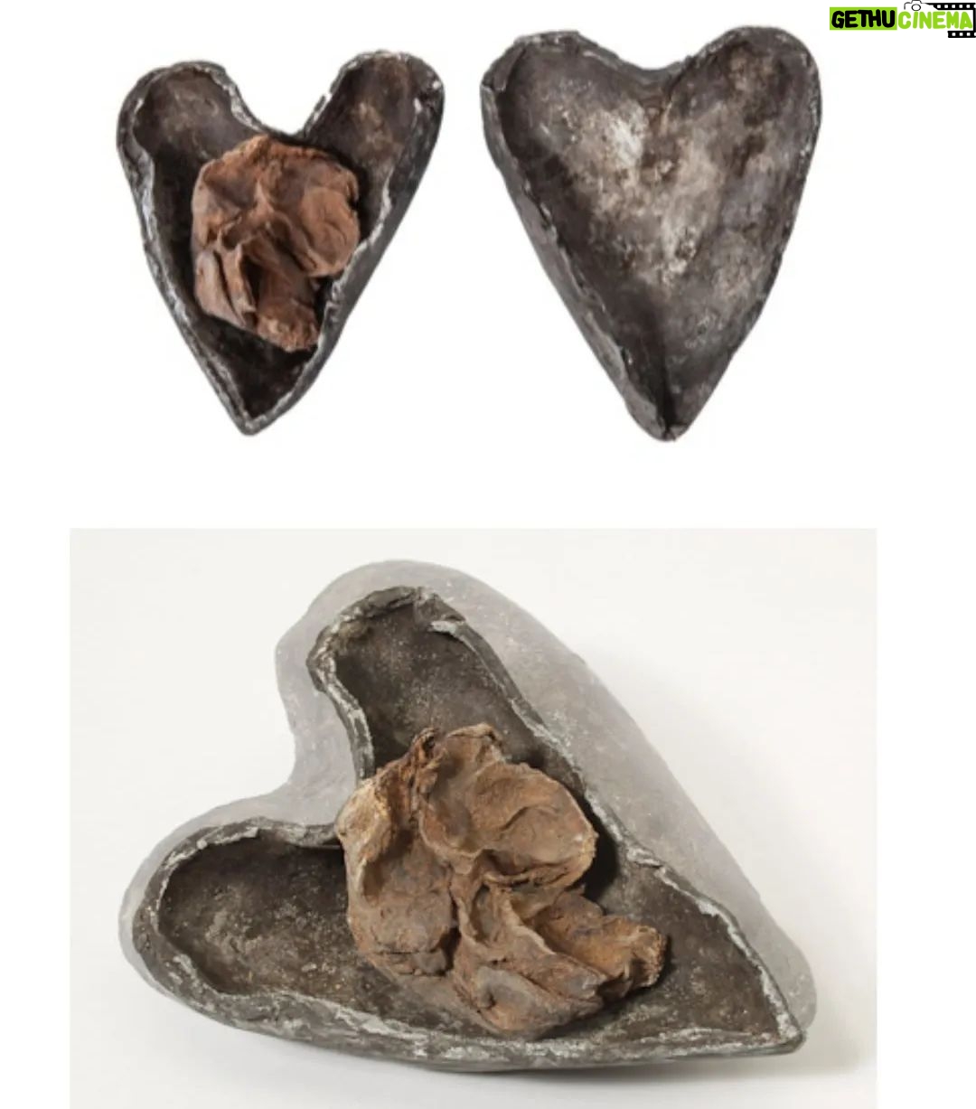 Carla Valentine - 653 Likes - My 'Bloody Valentine' countdown continues with this perfect artefact! 🫀 This is a dessicated (dried) human heart in a heart shaped lead case, called a 'cist', which was found in a wooden box in Christchurch, Cork, Ireland, in 1863. The person who found it was General Augustus Henry Lane Fox Pitt Rivers of 'Pitt Rivers Museum' which is in Oxford in the UK, but it was originally sent to Bethan Green Museum in London as the centre-piece of their "Human Superstition" exhibition.
(I'm not sure why it's ok to remove a boxed artefact in the basement of Cork's oldest Church, so some say "found" also means "stole" and I guess but that's a debate for another time.) Heart burials were popular in Europe for a while because the heart was where the soul was believed to reside, so often if the body had to be disposed of the heart would be kept. Sometimes if lovers died apart their hearts were brought together and buried in the same place. Awwww, romantic 🫀⚰️🫀
#humanremains #remains2beseen #anatomy #valentinesday #heart #valentinescountdown #hearts #bloodyvalentine #humanheart #valentinesday2024 #valloween #mybloodyvalentine