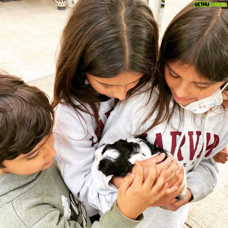 Carla Ballero Instagram - Mis niños cumplieron su sueño. Por fin tienen su perrita 🥰😘😍