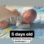 Carla Esparza Instagram - 🎉36🎉! Best birthday of my life thanks to my little Donovan🥰💙💙 . I decided to stay home this year, but thx to all of my amazing friends & hubby for the thoughtful unexpected surprises! Wonderful wine/note trail to flowers and chocolate followed by a picnic w/the hubby. Loved the edible arrangement💐🍓🧁 @alize_allday , the meal preps to make life easier these weeks @hinna46 , the food delivery for a sushi 🍣 bday dinner @mishy_boo27 , and of course cookies 🍪 for dessert from @marieakchoi !! And the Cookie Monster swag from @the_cooking_penguin & card gifts from @feliceherrig ! And of course all of the thoughtful messages and posts from everyone. I am so overwhelmingly grateful to be alive and to have such wonderful people (friends, fam, & fans) in my life ☺️❤️❤️🥳