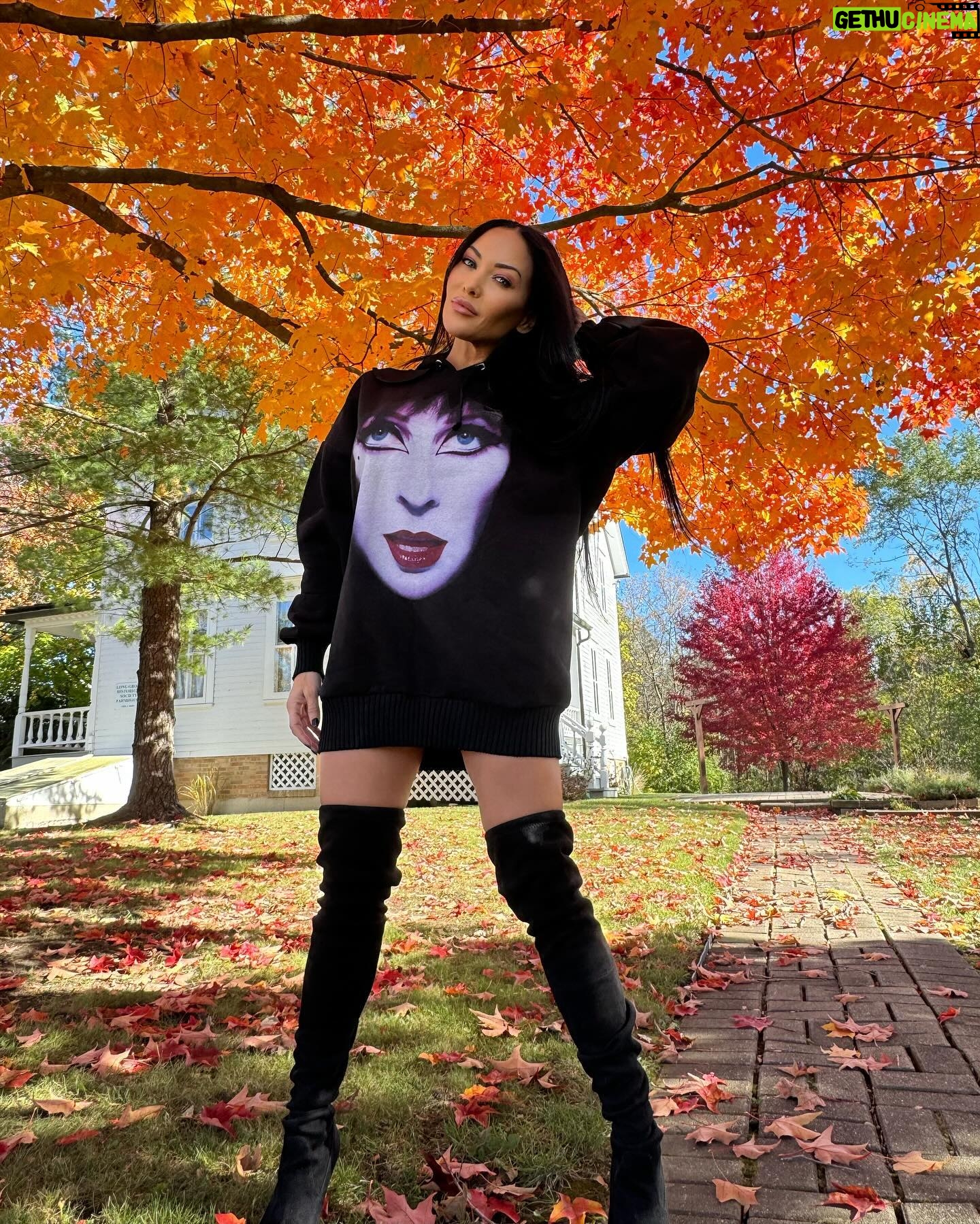 Carla Harvey - 5.1K Likes - October Rust plays softly in the background🍁#midwestisbest #fallcolors #elvira
