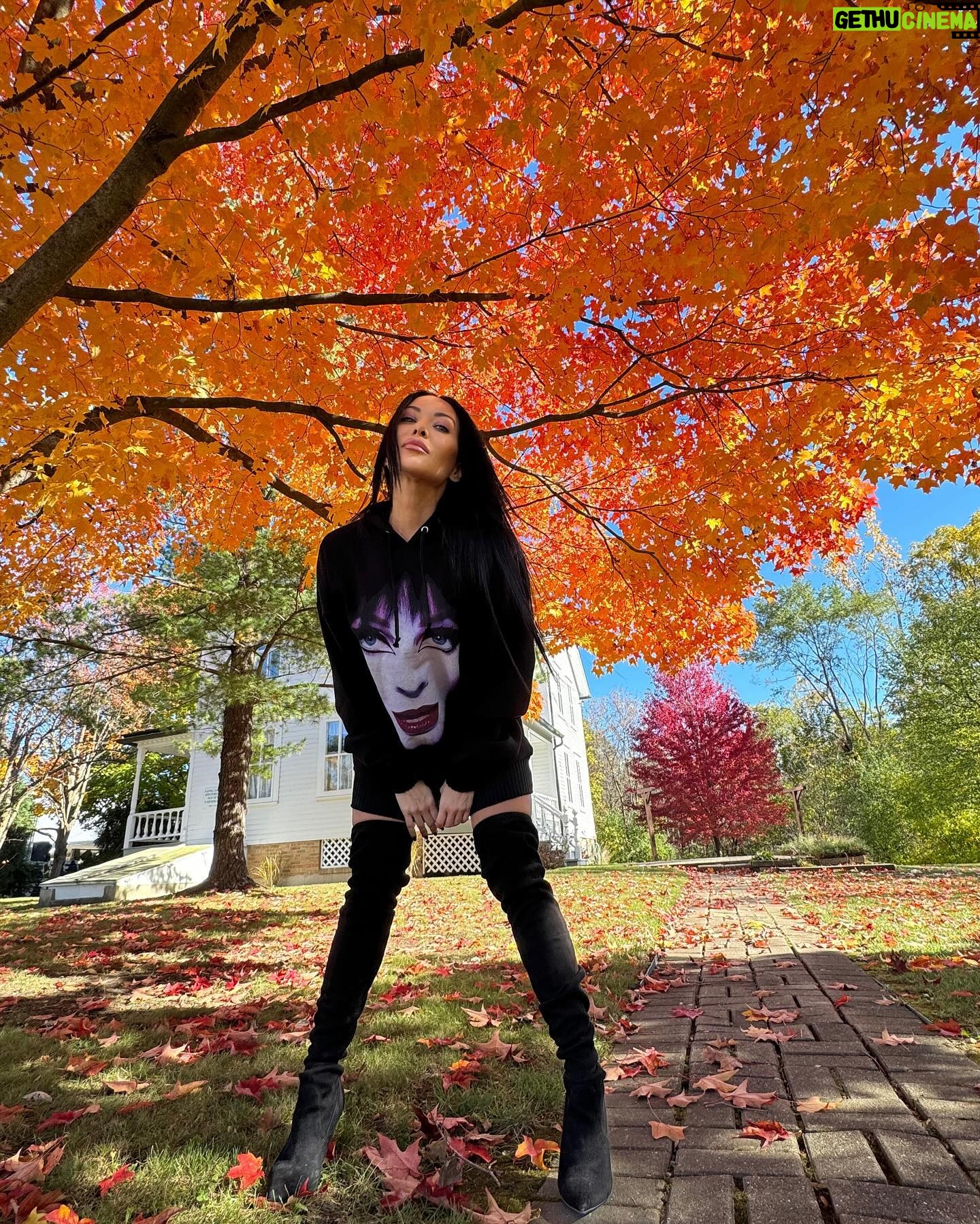 Carla Harvey - 5.1K Likes - October Rust plays softly in the background🍁#midwestisbest #fallcolors #elvira