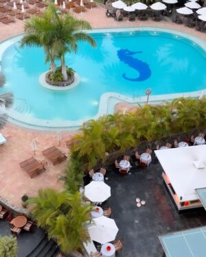 Carlota Corredera Instagram - Carrusel de Navidades felices en @seasidepalmbeach ☀️🎄
1. Sirena desde 1974
2. Playa en diciembre
3. Beso piscinero
4. Nochebuena en deportivas
5. Atardecer desde mi habitación
6. Splash
7. Burbujas en el spa de agua salada
8. Nadar=felicidad
9. Relax máximo
10. Verano en Navidad
@villarrazomadrid 
#seasidecollection 
#seasidemoments
#seasidepalmbeach