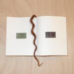 Carlota Guerrero Instagram - Registro 6: Manglar (Memoria) 2023 Artist’s hair, paper, fabric, thread, wood, nails 14,8 x 19 x 10 cm Edition 1/1 On view @sainteannegallery Sculpture-book that documents, on the one hand, the gathering of Samai, Camila, Nika, Monse, Valeria, Sarahí, Fernanda and GG in the mangroves, and the individual urban experience of Carmen on the other. These confronted scenarios, presented both in the installation and the book, are connected through the central image of a giant and communal clitoris, and the experience of the nine women. The very intentional covers act as a formal protection of the inner precious content of the publication to force, in a way, the creation of a more realistic and uncomfortable experience that is very far from the mere joyful contemplation of beauty. Edition @carlota_guerrero & @marionavaldestorrella Text @marionavaldestorrella Graphic design @querida__si Covers @sociedad0 Printing @pedro_nova_era_printing