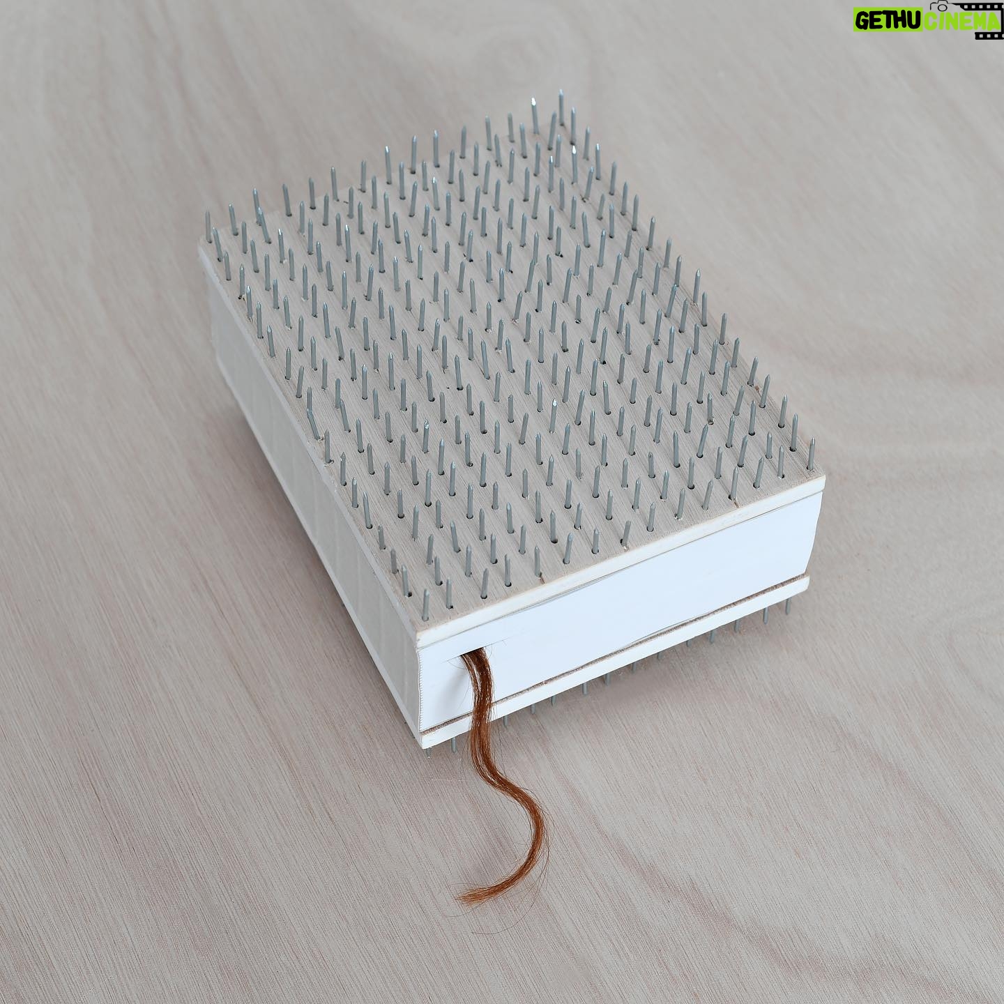 Carlota Guerrero - 6.1K Likes - Registro 6: Manglar (Memoria)
2023
Artist’s hair, paper, fabric,
thread, wood, nails
14,8 x 19 x 10 cm
Edition 1/1
On view @sainteannegallery
Sculpture-book that documents, on the one hand, the gathering of Samai, Camila, Nika, Monse, Valeria, Sarahí, Fernanda and GG in the mangroves, and the individual urban experience of Carmen on the other. These confronted scenarios, presented both in the installation and the book, are connected through the central image of a giant and communal clitoris, and the experience of the nine women.
The very intentional covers act as a formal protection of the inner precious content of the publication to force, in a way, the creation of a more realistic and uncomfortable experience that is very far from the mere joyful contemplation of beauty.
Edition @carlota_guerrero & @marionavaldestorrella
Text @marionavaldestorrella
Graphic design @querida__si
Covers @sociedad0
Printing @pedro_nova_era_printing