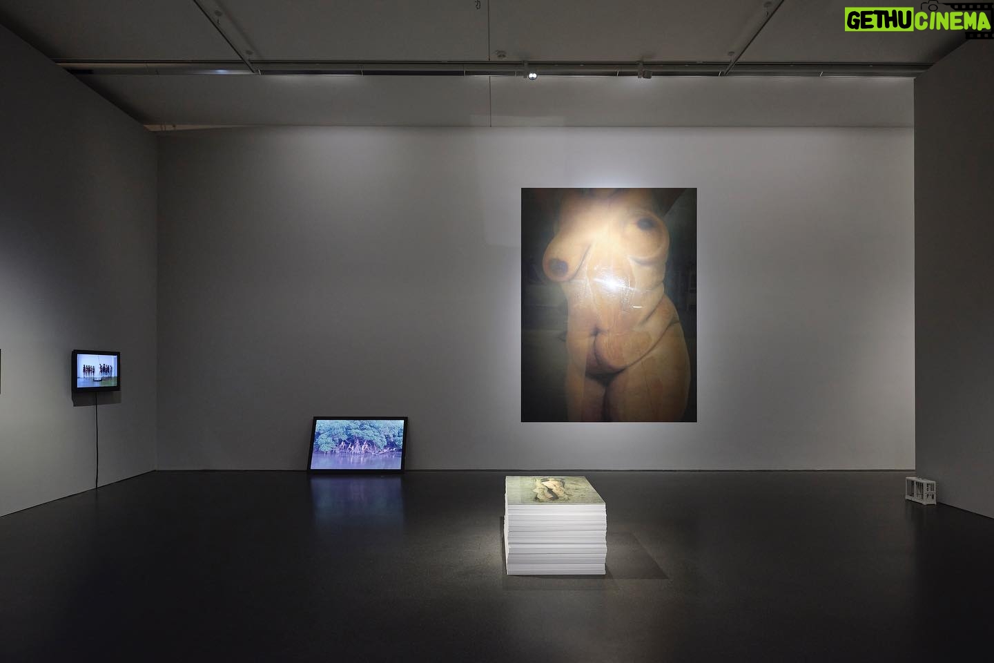 Carlota Guerrero Instagram - My room at WHO AM I? / I AM at @staatsgaleriestuttgart is open until September 11th - Thank you @galeriekernweine for giving me (this) space and being so open and hardworking, @marionavaldestorrella for the most beautiful months of research, work, crying and laughing together, to everyone that came to the opening and showed interest, love and respect, and to all of the women who trust me enough to appear in my pieces: you inspire my existance and I love you ♾ gracias gracias gracias ♾ #carlotaguerrero
