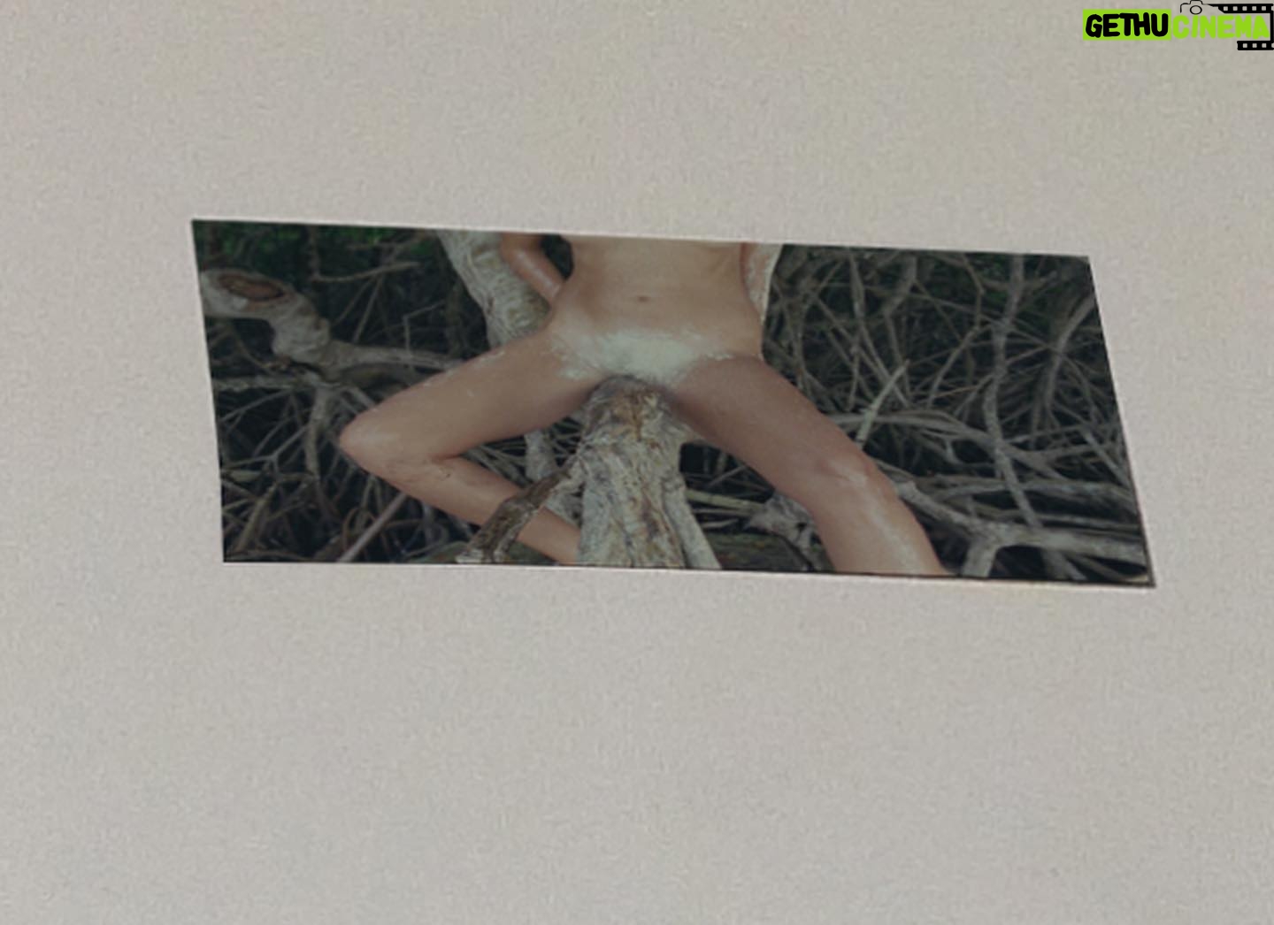 Carlota Guerrero Instagram - Registro 6: Manglar (Memoria) 2023 Edition 17/17 3AP On view @sainteannegallery Sculpture-book that documents, on the one hand, the gathering of Samai, Camila, Nika, Monse, Valeria, Sarahí, Fernanda and GG in the mangroves, and the individual urban experience of Carmen on the other. These confronted scenarios, presented both in the installation and the book, are connected through the central image of a giant and communal clitoris, and the experience of the nine women. The very intentional covers act as a formal protection of the inner precious content of the publication to force, in a way, the creation of a more realistic and uncomfortable experience that is very far from the mere joyful contemplation of beauty. Edition @carlota_guerrero & @marionavaldestorrella Text @marionavaldestorrella Graphic design @querida__si Covers @sociedad0 Printing @pedro_nova_era_printing