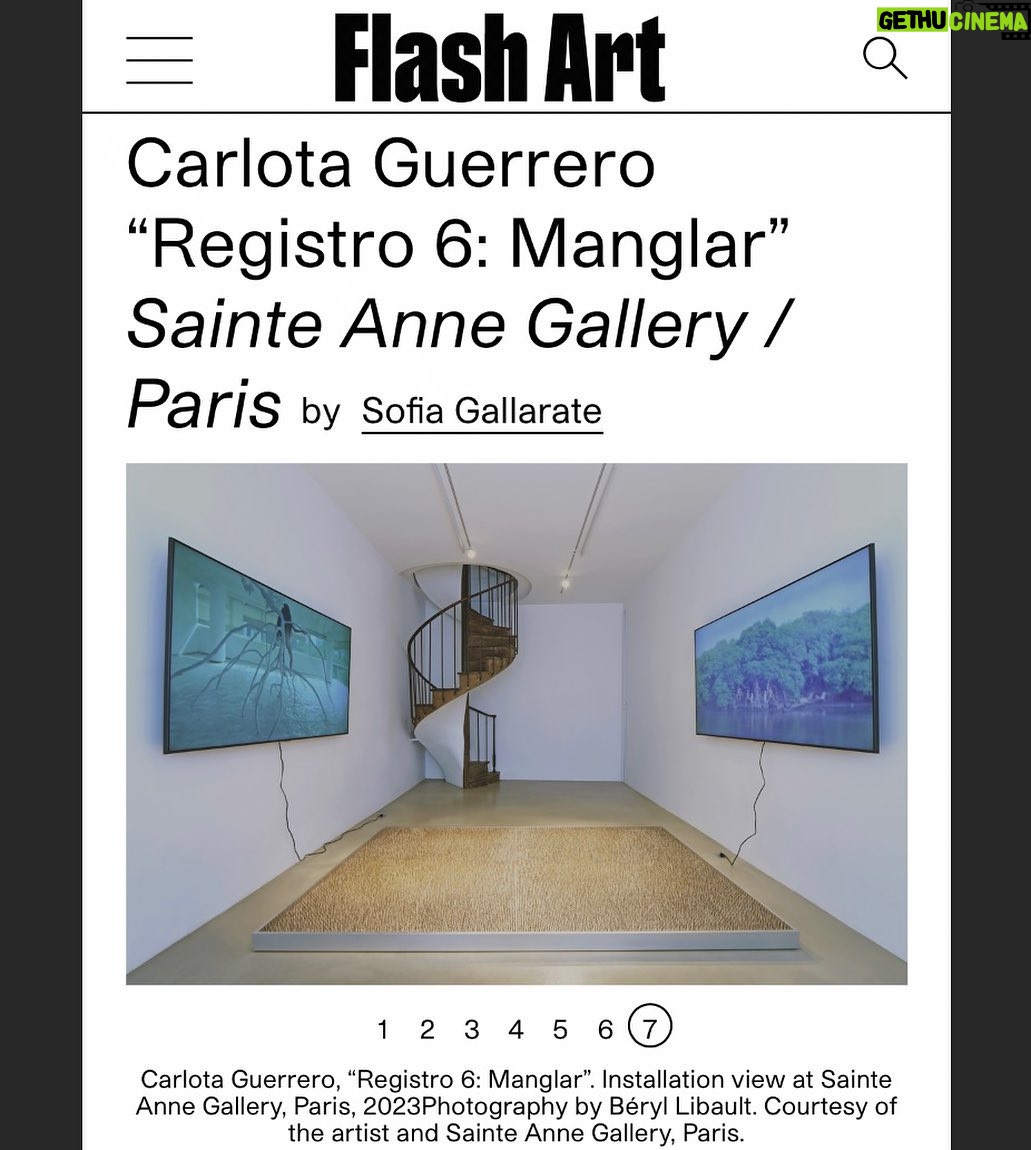 Carlota Guerrero Instagram - Registro 6: Manglar @flashartmagazine Words by @sofia_gallarate