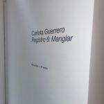 Carlota Guerrero Instagram - PARIS come say hi tomorrow to the opening of my show ‘Registro 6: Manglar’ from 6 to 9pm 🫂 curated by @marionavaldestorrella 44 Rue Sainte Anne @sainteannegallery