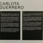Carlota Guerrero Instagram - My room at WHO AM I? / I AM at @staatsgaleriestuttgart is open until September 11th - Thank you @galeriekernweine for giving me (this) space and being so open and hardworking, @marionavaldestorrella for the most beautiful months of research, work, crying and laughing together, to everyone that came to the opening and showed interest, love and respect, and to all of the women who trust me enough to appear in my pieces: you inspire my existance and I love you ♾ gracias gracias gracias ♾ #carlotaguerrero