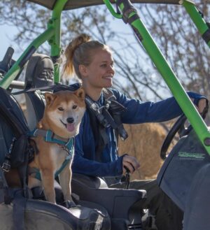 Carly Schroeder Instagram - Your human rolls the windows down for you? That's cute. 🐕  #GOATworthy #campingwithdogs