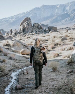 Carly Schroeder Instagram - Be respectful of your dog’s limits and don’t push them to exhaustion. If you notice your dog lying down, panting intensely or foaming at the mouth, these are all signs they need to cool down, slow down and possibly turnaround.
.
Don’t expect your pup to be able to jump off the couch and hike 10 miles with you. Gradually build up the distance and intensity with your pet so they can enjoy the outdoors safely.
.
Also... If your doge is anything like mine, they can easily get into mischief on a trail. Keeping a small first aid kit on your person can help you doctor any gashes, bites, sprains or burns your fur baby might get. @adventuremedicalkits #hikingwithdogs #adventuremedicalkits
Photo: @roaminglost