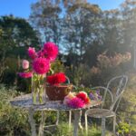 Carly Simon Instagram - The last flowers of 2023 from the gardens🌸