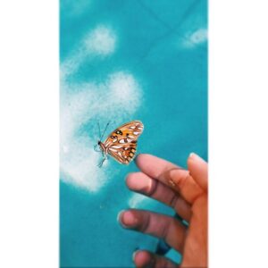 Carmela Zumbado Instagram - Something so small, with boundless beauty... Nature amazes me every day...
