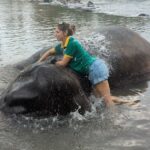 Carmen Arrufat Instagram - Ni una semana aquí y ya es de lejos una de las experiencias más increíbles de mi vida Difícil expresar con palabras lo que estoy viviendo y sintiendo Muy muy agradecida 🌀❤️🐘🇱🇰