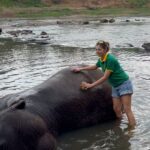 Carmen Arrufat Instagram - Ni una semana aquí y ya es de lejos una de las experiencias más increíbles de mi vida Difícil expresar con palabras lo que estoy viviendo y sintiendo Muy muy agradecida 🌀❤️🐘🇱🇰