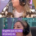 Carmen Gloria Arroyo Instagram - Durante el #react de @carmengloriatvn 👩🏻‍⚖️ la conductora @cg_arroyo llegó acompañada de un lindo gatito 🐱