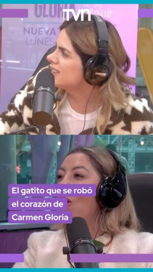 Carmen Gloria Arroyo Instagram - Durante el #react de @carmengloriatvn 👩🏻‍⚖️ la conductora @cg_arroyo llegó acompañada de un lindo gatito 🐱