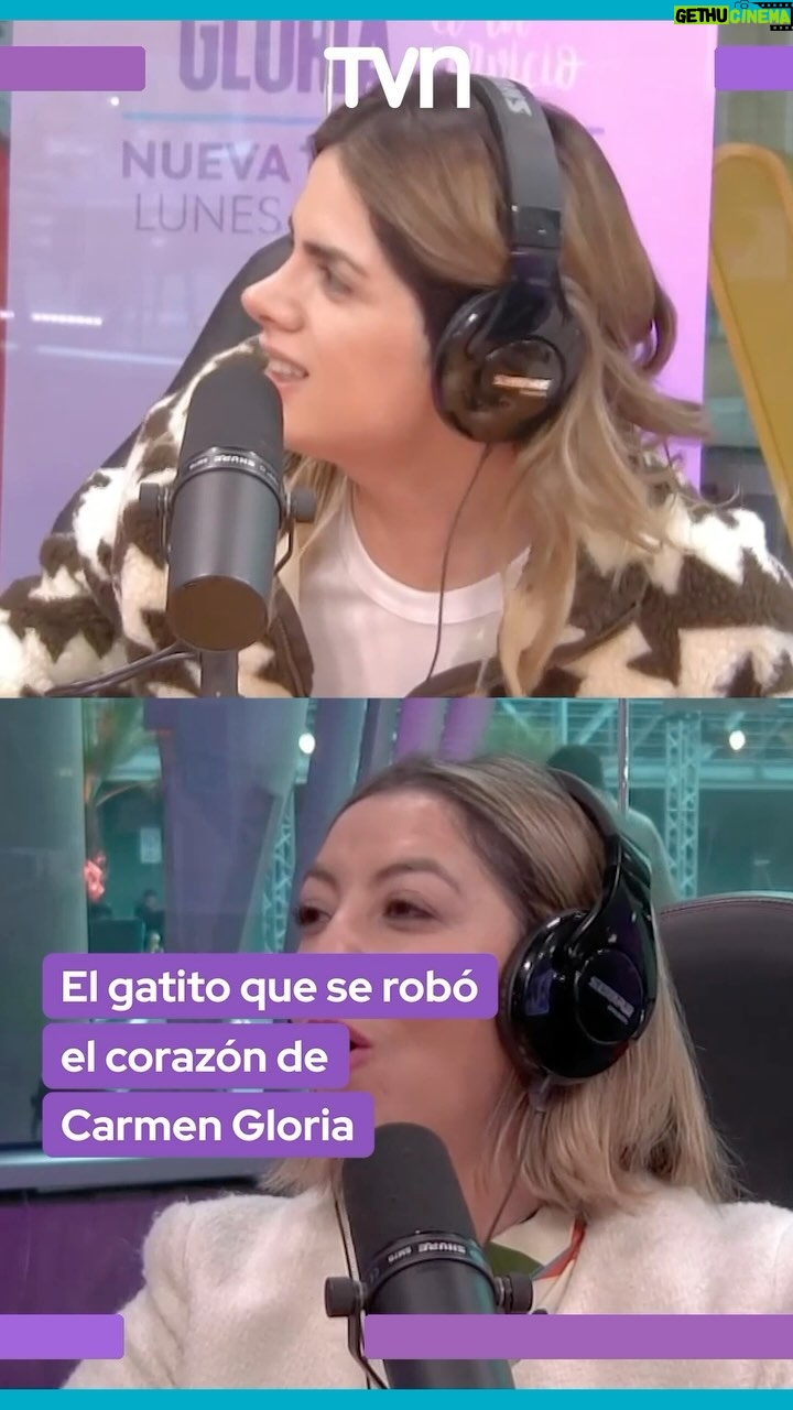 Carmen Gloria Arroyo - 1.1K Likes - Durante el #react de @carmengloriatvn 👩🏻⚖️ la conductora @cg_arroyo llegó acompañada de un lindo gatito 🐱