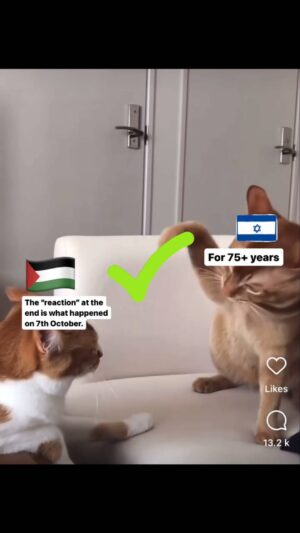 Carmen Lebbos Instagram - 💯💯